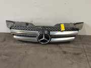 Grill von einem Mercedes Sprinter (9744)