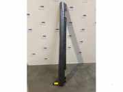 Schwelle rechts von einem Mercedes CLS-Klasse