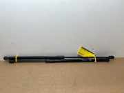 Gasdämpfer Motorhaube Set von einem Mercedes GL-Klasse (755)