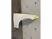 Kotflügel rechts vorne von einem Mercedes E-Klasse