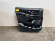 Türverkleidung 2-türig links von einem Mercedes Vito