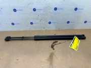 Gasdämpfer Motorhaube Set von einem Mercedes E-Klasse