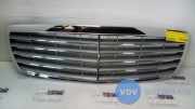 Grill von einem Mercedes E-Klasse
