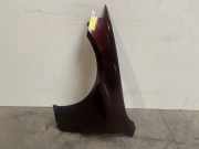 Kotflügel links vorne von einem Mercedes E-Klasse