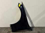 Kotflügel links vorne von einem Mercedes C-Klasse (890)