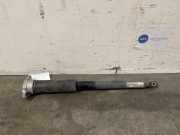 Stoßdämpfer rechts hinten von einem Mercedes E-Klasse