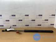 Gasdämpfer Motorhaube Set von einem Mercedes C-Klasse