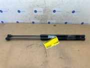 Set Gasdämpfer Heckklappe von einem Mercedes C-Klasse