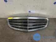 Grill von einem Mercedes E-Klasse (792)