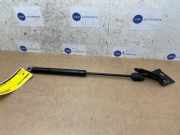 Gasdämpfer rechts hinten von einem Mercedes E-Klasse