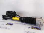 Gasdämpfer links hinten von einem Mercedes GLE