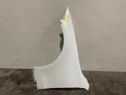 Kotflügel links vorne von einem Mercedes C-Klasse