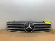 Grill von einem Mercedes CL