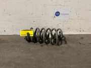 Schraubenfeder hinten von einem Mercedes C-Klasse