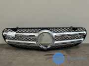 Grill von einem Mercedes GLC-Klasse
