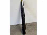 Schwelle rechts von einem Mercedes CL (197)