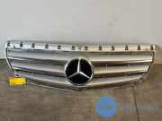 Grill von einem Mercedes B-Klasse (191)