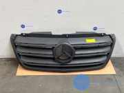 Grill von einem Mercedes Sprinter