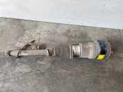 Stoßdämpfer rechts hinten von einem Mercedes S-Klasse