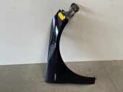 Kotflügel rechts vorne von einem Mercedes R-Klasse