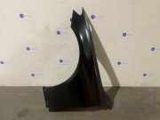 Kotflügel links vorne von einem Mercedes E-Klasse