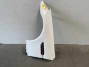 Kotflügel links vorne von einem Mercedes SLK