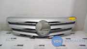 Grill von einem Mercedes B-Klasse