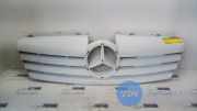 Grill von einem Mercedes Vaneo