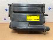 Kohlenstofffilter von einem Mercedes S-Klasse