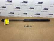 Gasdämpfer Motorhaube Set von einem Mercedes C-Klasse (792)