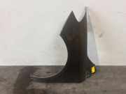 Kotflügel links vorne von einem Mercedes B-Klasse (893)