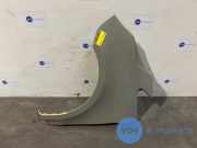 Kotflügel links vorne von einem Mercedes V-Klasse