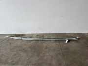 Dachreling Set von einem Mercedes C-Klasse (896)