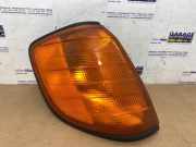 Richtungsanzeiger rechts von einem Mercedes 260SE-600SEL