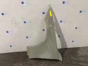 Kotflügel links vorne von einem Mercedes S-Klasse