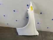 Kotflügel links vorne von einem Mercedes C-Klasse (0000)