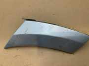 Zierleiste von einem Mercedes Sprinter