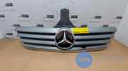 Grill von einem Mercedes C-Klasse