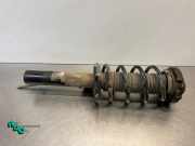 Federbein rechts vorne Seat Leon 1P