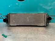 Ladeluftkühler Renault Trafic II Kasten FL 817554