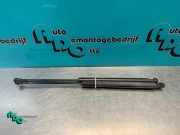 Heckklappendämpfer Peugeot 207 9650780480