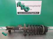 Federbein rechts vorne Suzuki SX4 EY, GY 4160179J52