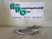 Türgriff links hinten Mercedes-Benz S-Klasse W116