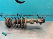 Federbein links vorne Volvo V70 II 285 8667250A