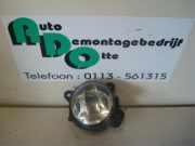 Nebelscheinwerfer rechts vorne Skoda Fabia Kombi 6Y