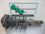 Federbein links vorne Peugeot 206 Schrägheck 2A/C