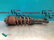 Federbein rechts hinten Honda Civic V Stufenheck EG, EH 52610SR3