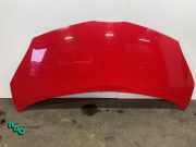 Motorhaube Toyota Aygo B1 533010H010