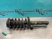 Federbein links vorne VW Caddy III Kasten 2KA G8005