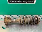 Federbein rechts vorne Daihatsu YRV M2 4851097435